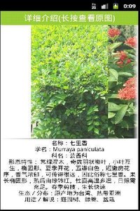 景观植物大全