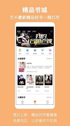 愛奇免費小說