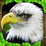 老鹰模拟器2中文版(Eagle Sim)