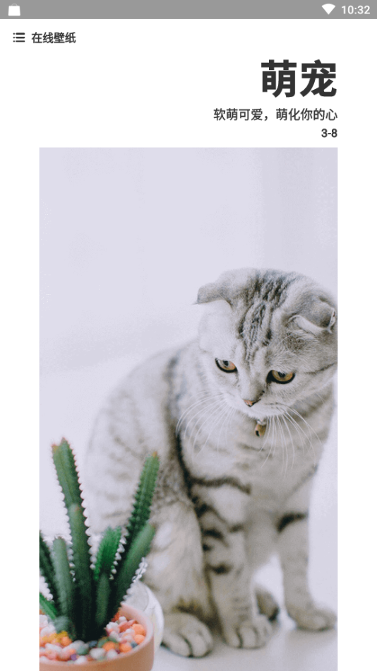 优优壁纸 优优壁纸