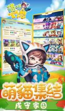 猫之幻想 猫之幻想
