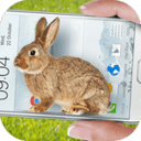 手机上的小兔子玩笑app下载