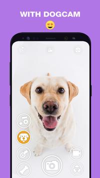 DogCam有小狗的相机软件下载