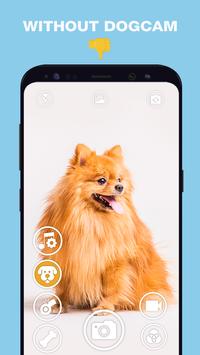 DogCam有小狗的相机软件下载