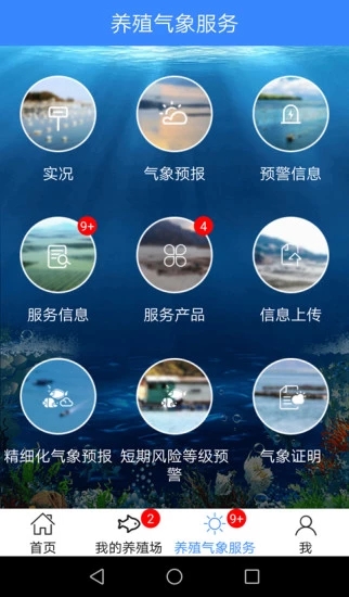 曹妃甸养殖气象