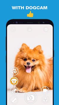 DogCam有小狗的相机软件下载