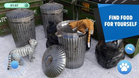 流浪街头猫逃脱Stray Street Cat Escape 流浪街头猫逃脱Stray Street Cat Escape