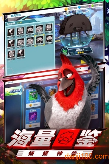 丛林鸟大冒险 丛林鸟大冒险