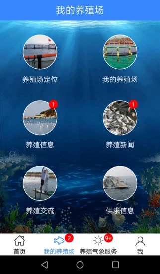 曹妃甸养殖气象
