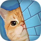 橘猫侦探社最新版无限电量