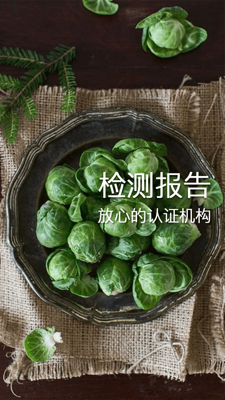 我的昆明