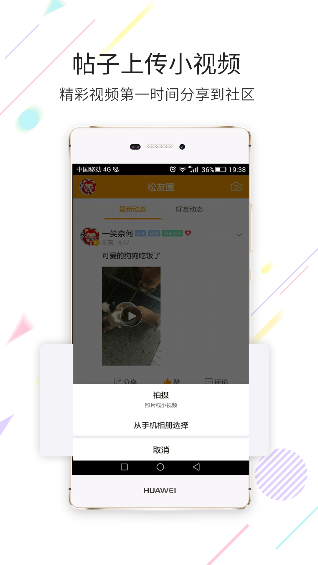 掌上松江 掌上松江