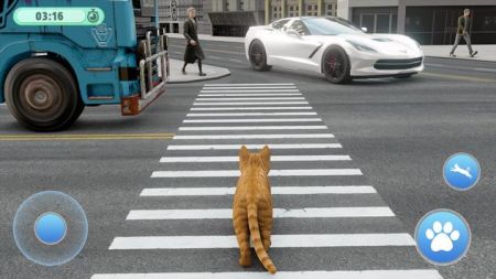 流浪街头猫逃脱Stray Street Cat Escape 流浪街头猫逃脱Stray Street Cat Escape