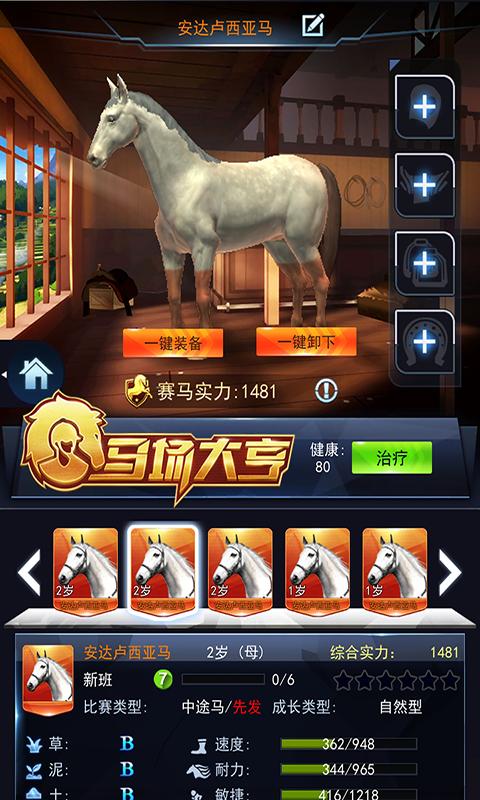 马场大亨 马场大亨