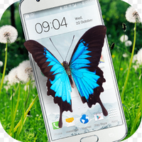 蝴蝶恶作剧软件下载Butterfly in Phone Lovely joke