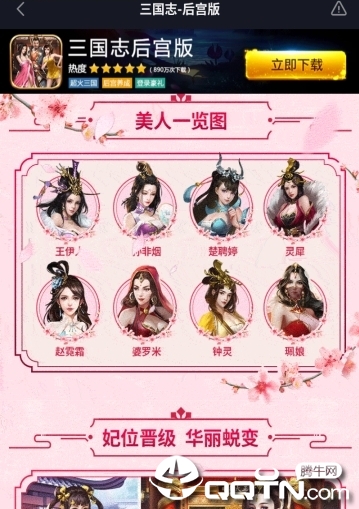 三国志-后宫版