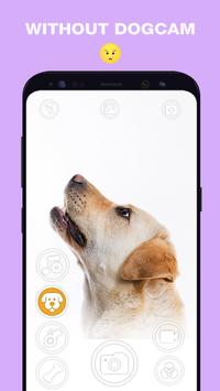 DogCam有小狗的相机软件下载