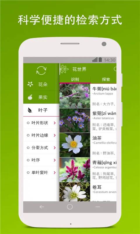 识花形色