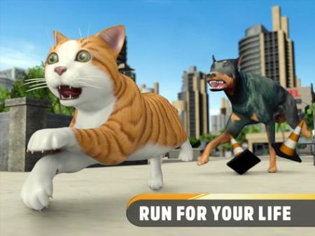 流浪街头猫逃脱Stray Street Cat Escape 流浪街头猫逃脱Stray Street Cat Escape