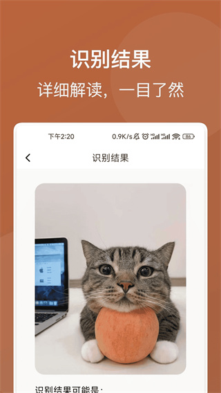 捷运识别大师