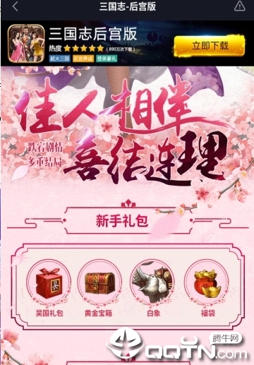 三国志-后宫版