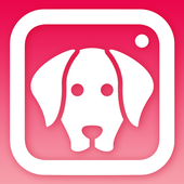 DogCam有小狗的相机软件下载