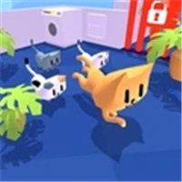 我的小猫花花游戏