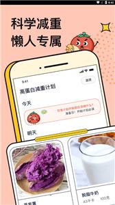 番茄闪轻减肥 番茄闪轻减肥