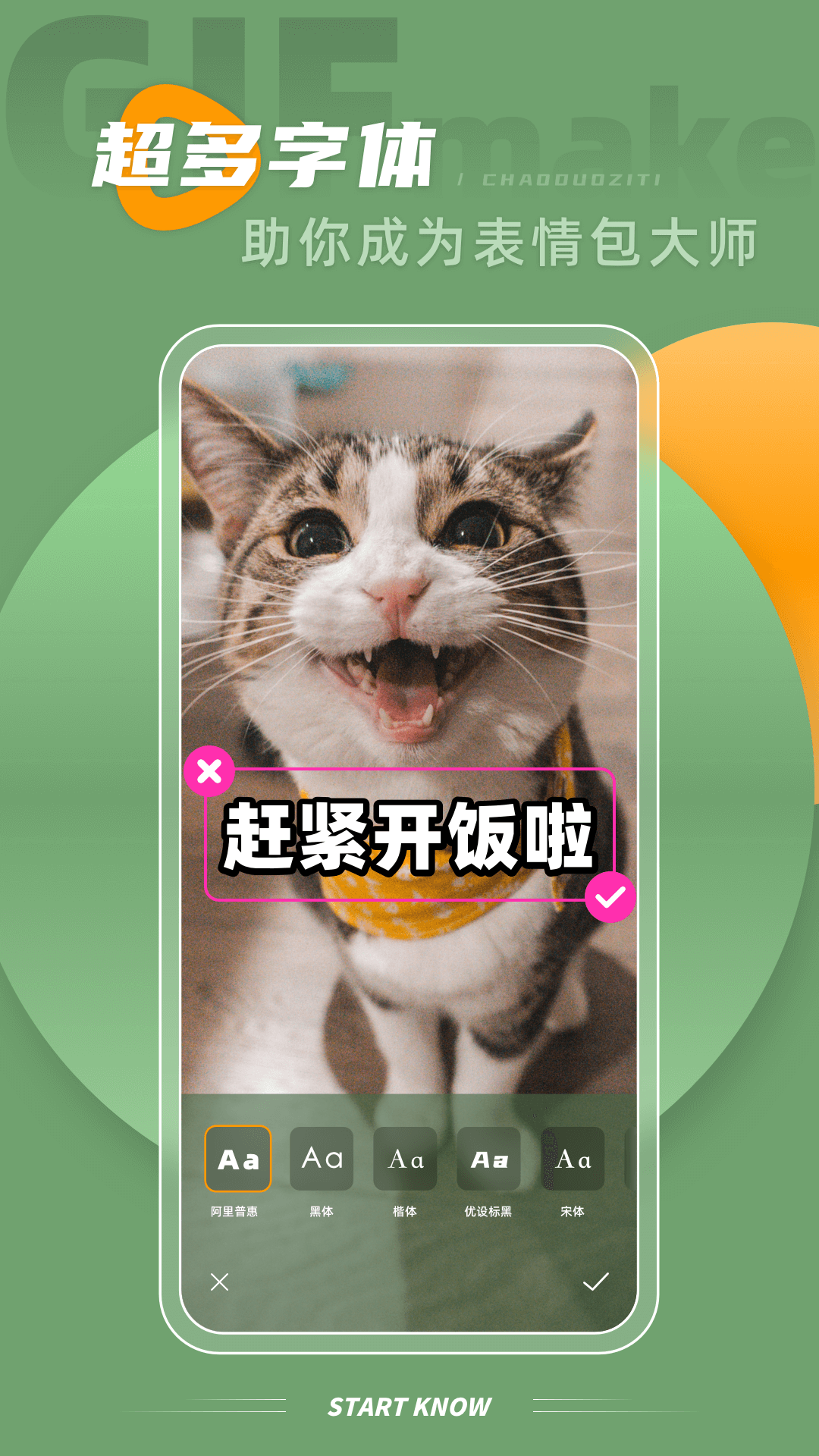 intoLive安卓版app