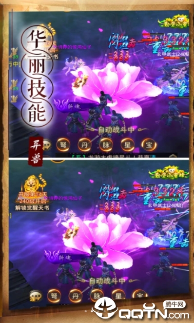 画仙