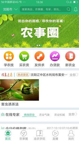 金农翼家