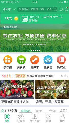 金农翼家 金农翼家