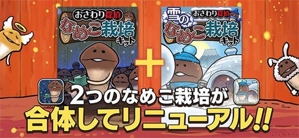 原始菇菇栽培实验室 原始菇菇栽培实验室