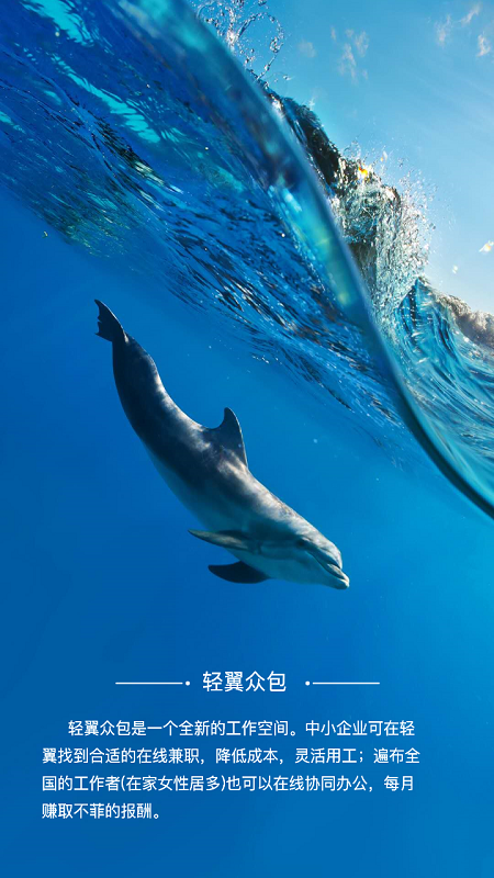 轻翼众包