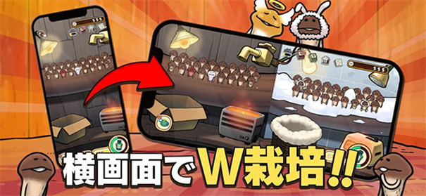 原始菇菇栽培实验室 原始菇菇栽培实验室