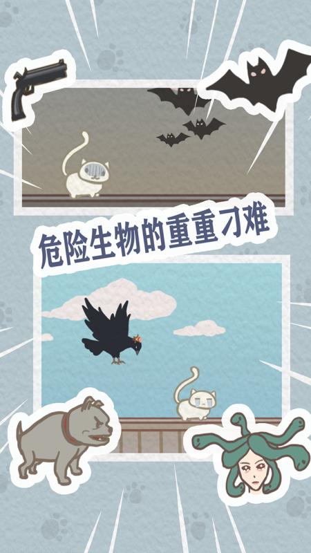 帮帮我喵喵 帮帮我喵喵