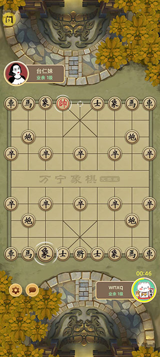 万宁象棋小游戏下载新版