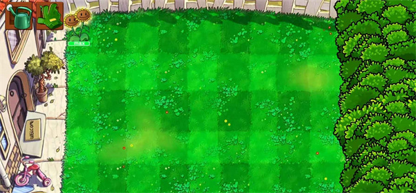 植物大战僵尸:花园战争 植物大战僵尸:花园战争