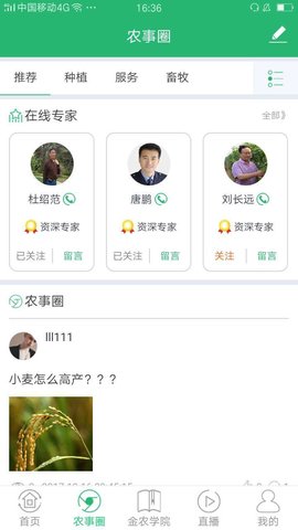 金农翼家