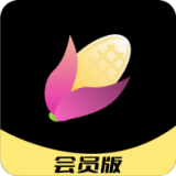 玉米