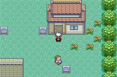 口袋妖怪绿宝石精装版