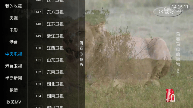 鸳鸯戏水 鸳鸯戏水