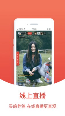 搜鸽天下一查信鸽成绩