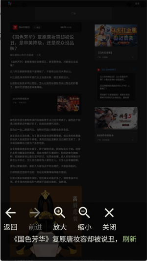 w浏览器