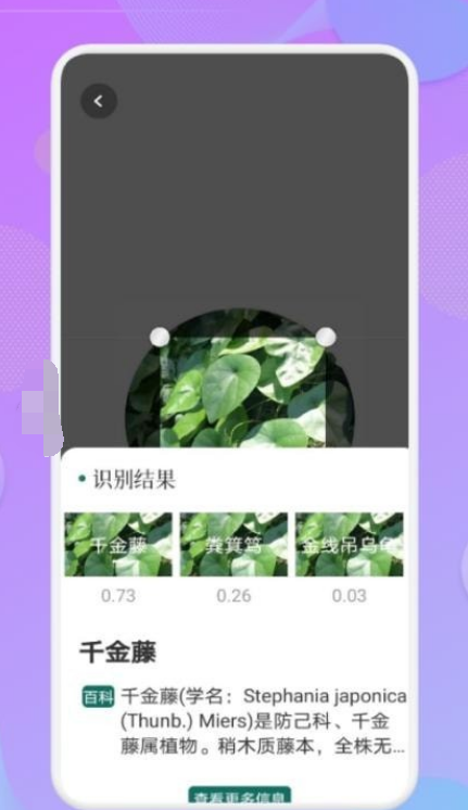 智能识图识物软件