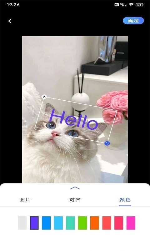 小猪翻译器 小猪翻译器