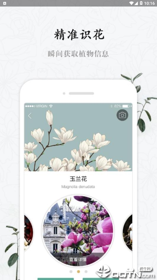 花眼