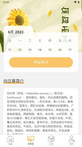 向阳流量