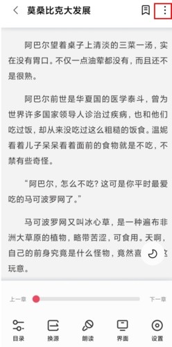 树莓阅读