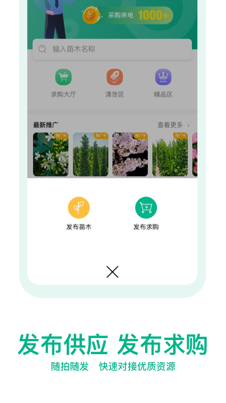 苗仓